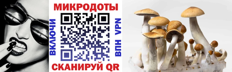 Галлюциногенные грибы мицелий Новая Ляля